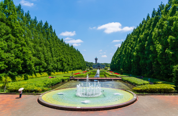 神奈川県立相模原公園