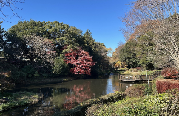 道保川公園